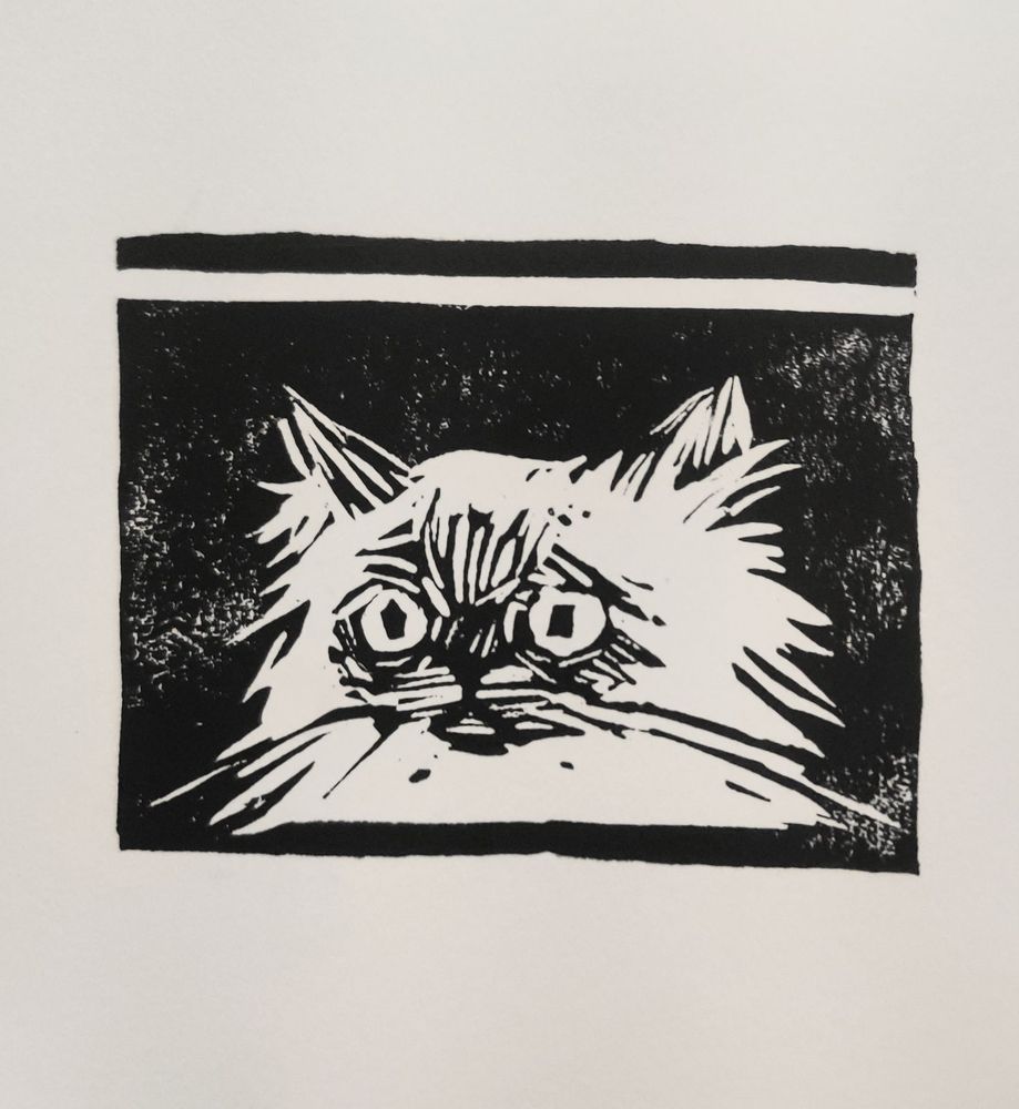 a rectangular stamp of fluffy cat carved out in negative space. he has a smooshed face and a malevolent gaze
