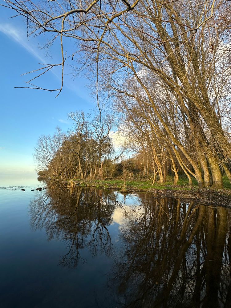 Trees sky and cloud reflections in water 
