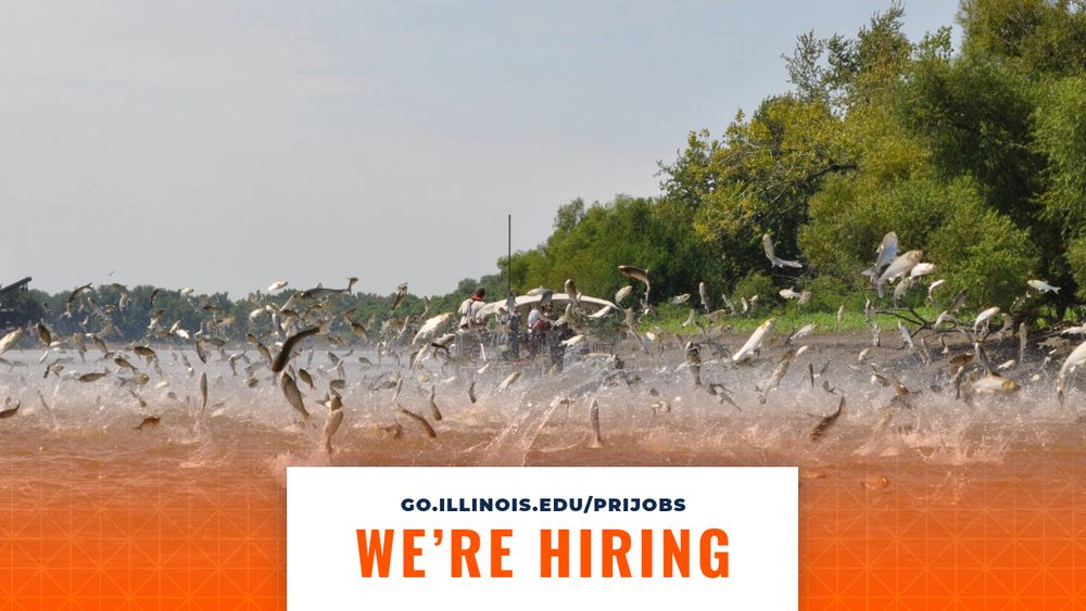 Carp jumping out of the water while a field crew works from a boat in the background. Below, text reads, "we're hiring."