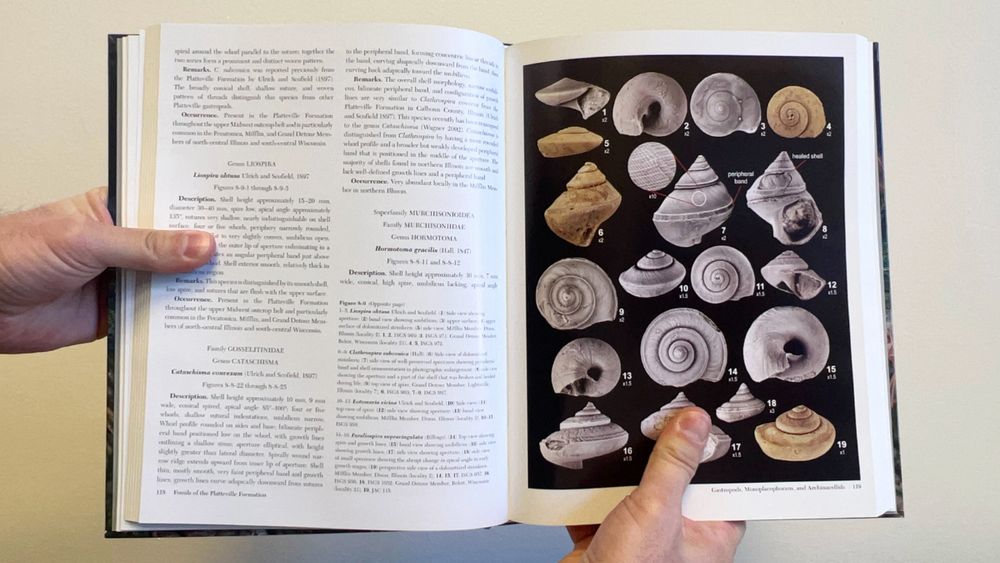 An interior spread of the book showing text and fossil photos.