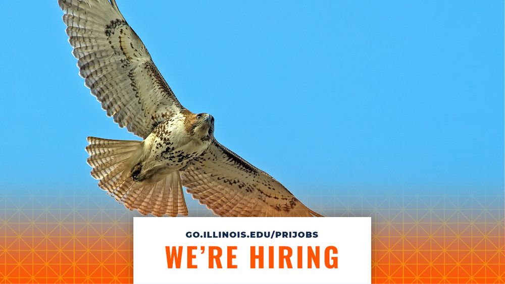 A red-tail hawk flying with wings outstretched. At the bottom center, there is a white box with text that says, "go.illinois.edu/prijobs" and "we're hiring."