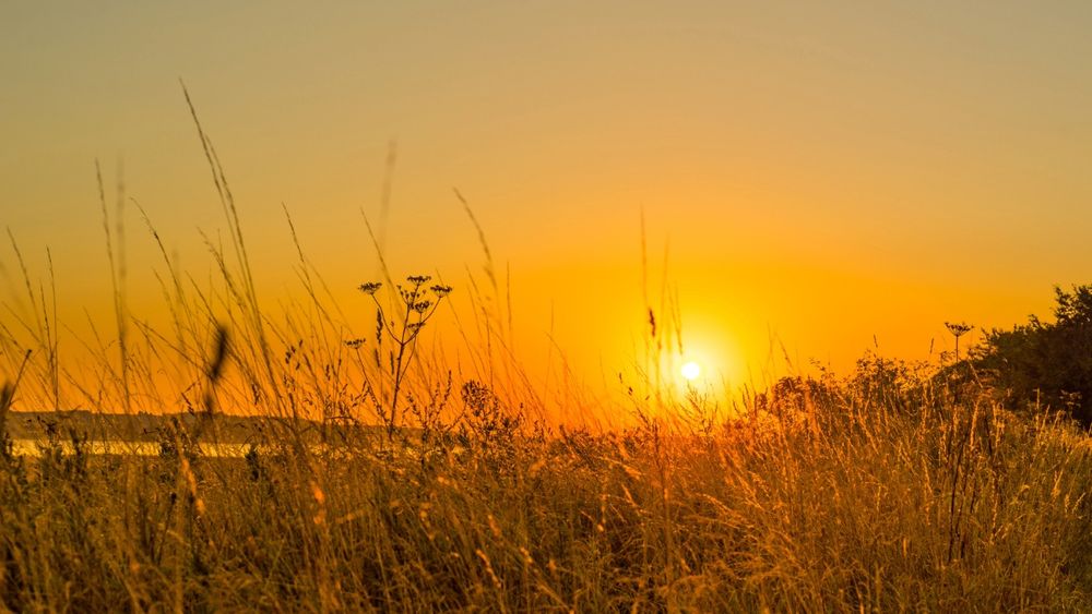 A setting sun over a prairie.