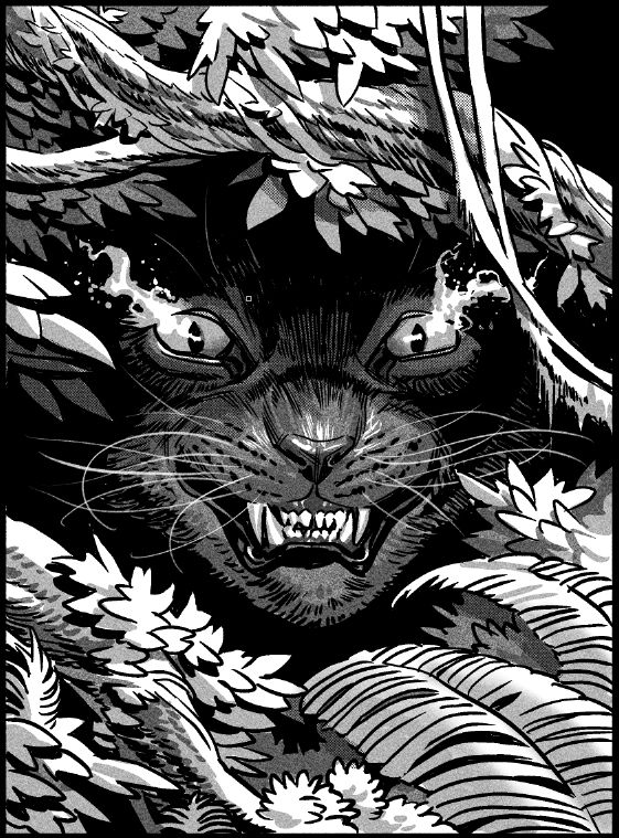 A mysterious cat peeks out from the jungle foliage.