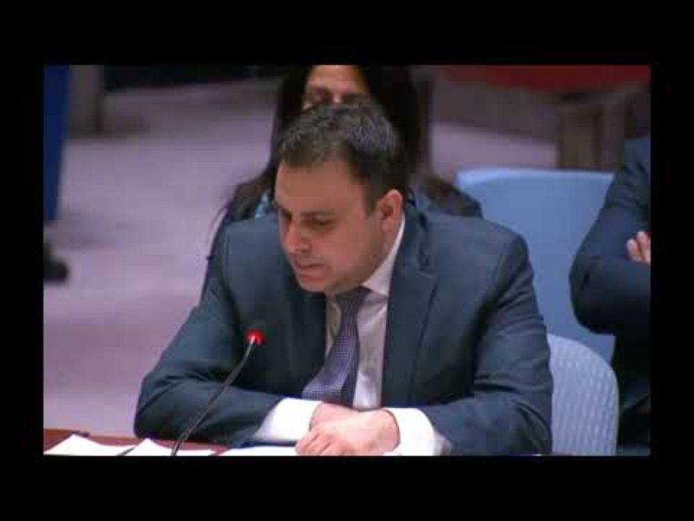 Majed Bamyan's statement on security council resolution's veto