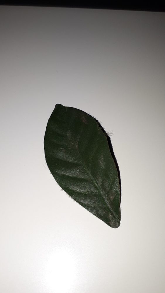 Comment image