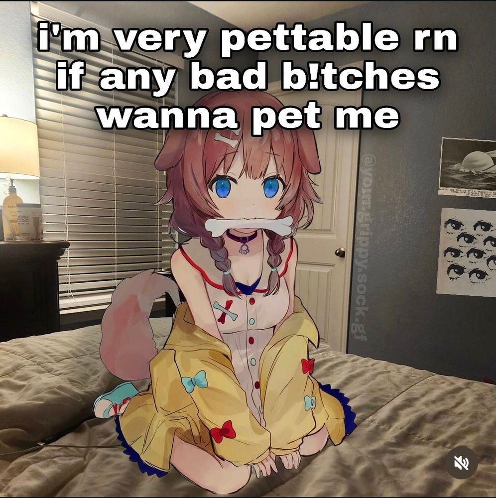 Pets?!?
