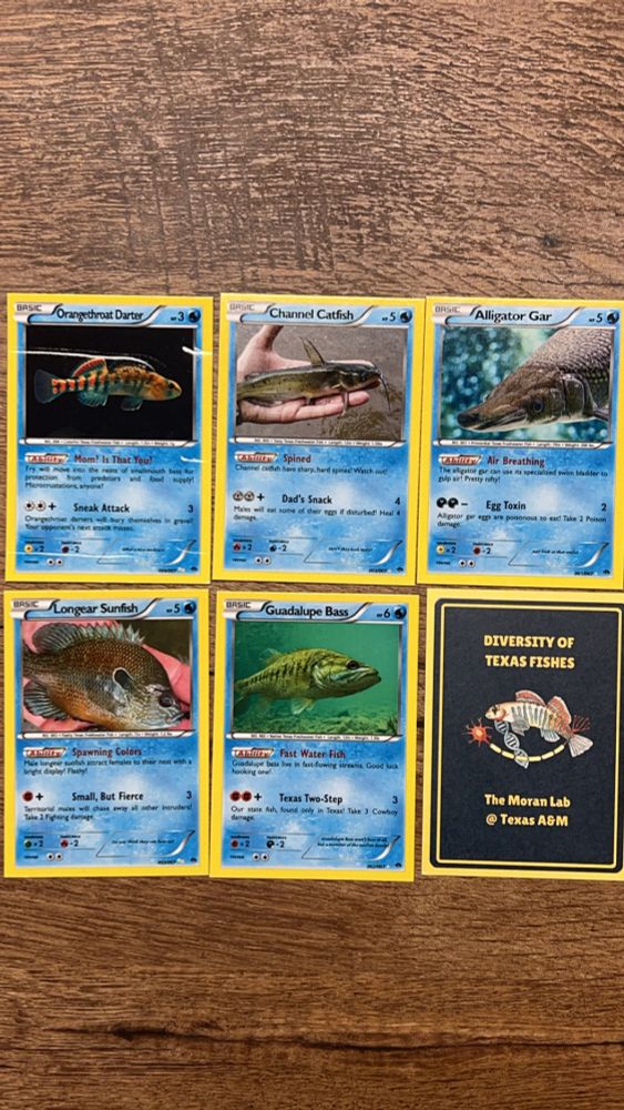 Pokémon style cards featuring fishes found in Texas, including orangethroat darters, Guadalupe bass, longear sunfish, alligator gar, and channel catfish