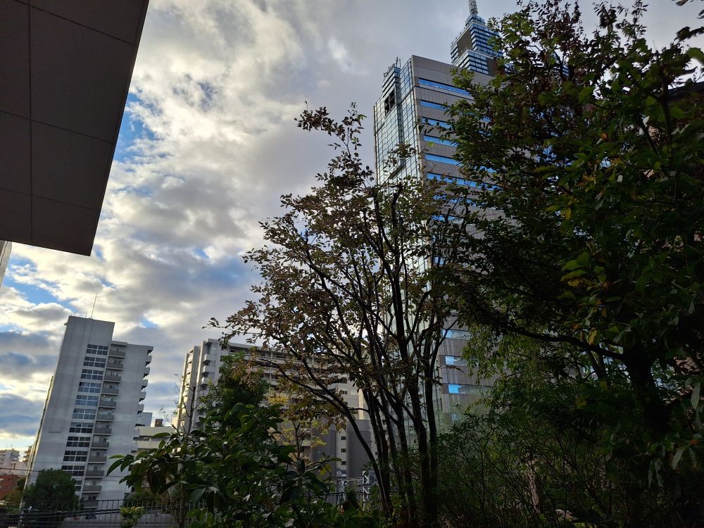 A view of tall office buildings and a cloudy sky behind trees and bushes.
