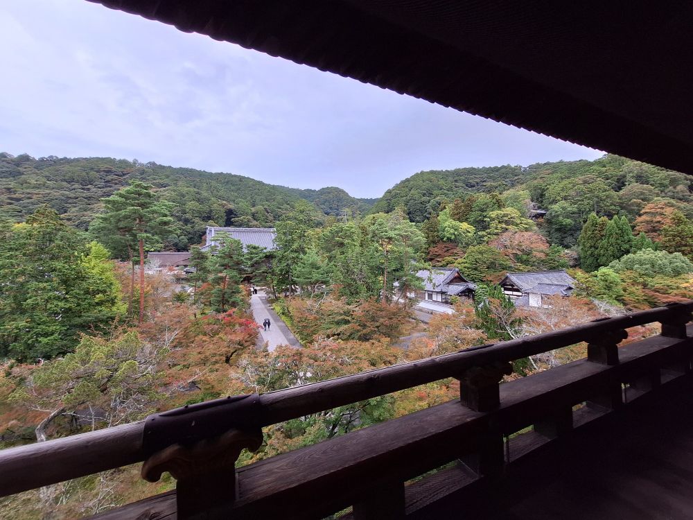 The bike of green trees some turning red and yellow from the beyond a balcony. 