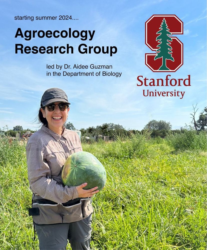 photo of Prof. Aidee Guzman in an agricultural field in california