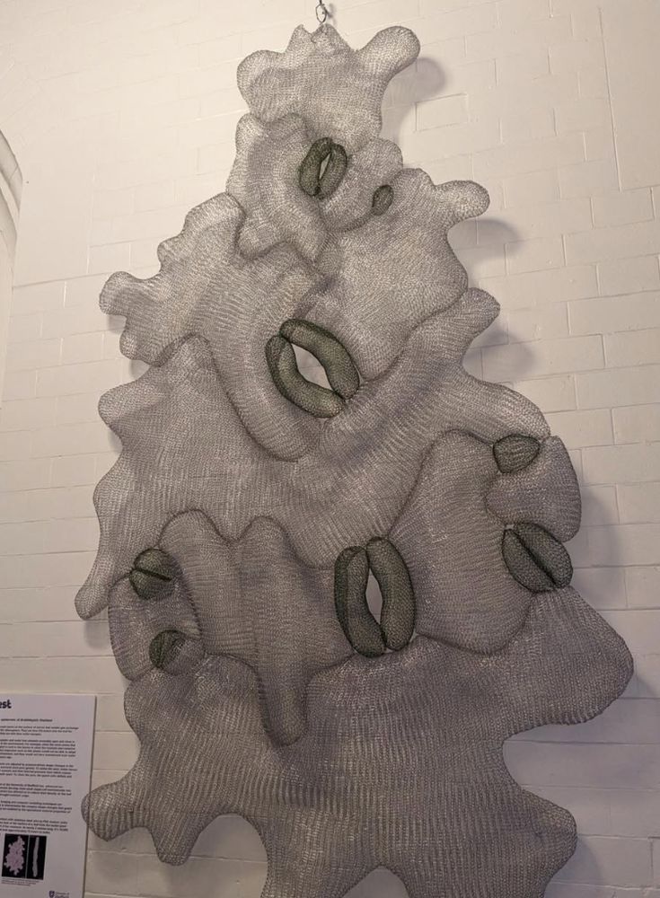 wire sculpture of a plant leaf surface including stomata