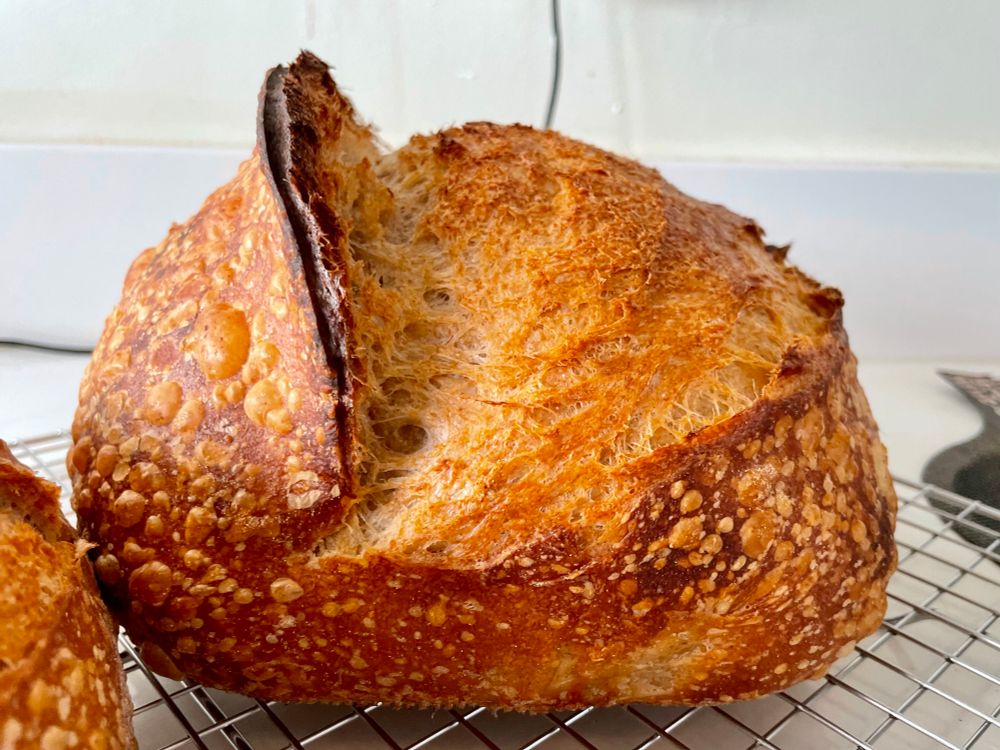 A front-facing picture of a sourdough loaf on a cooling rack with a single score and blisters.