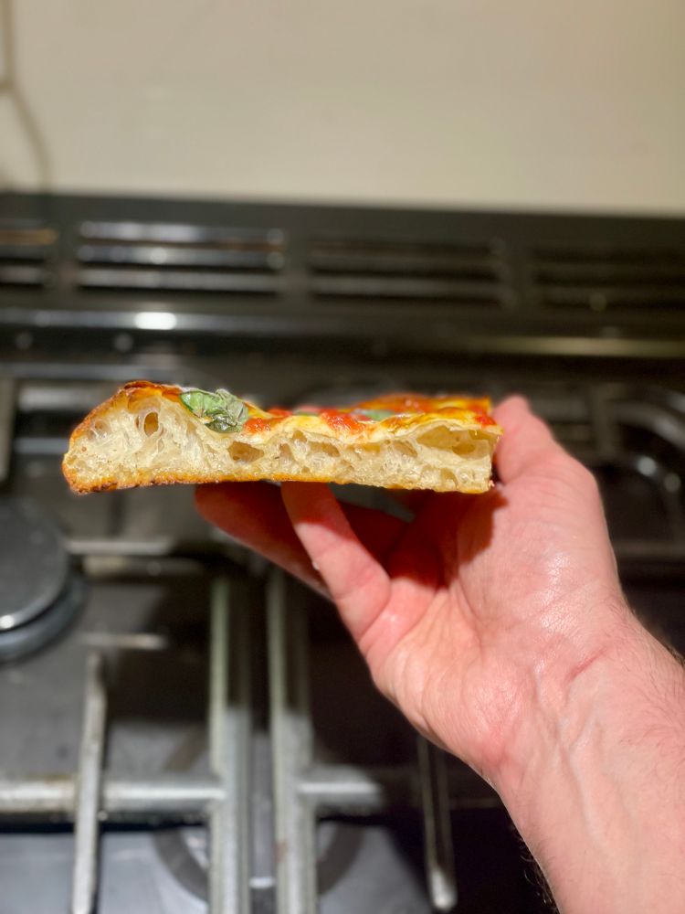 A cross section of a pizza slice with some air bubbles.