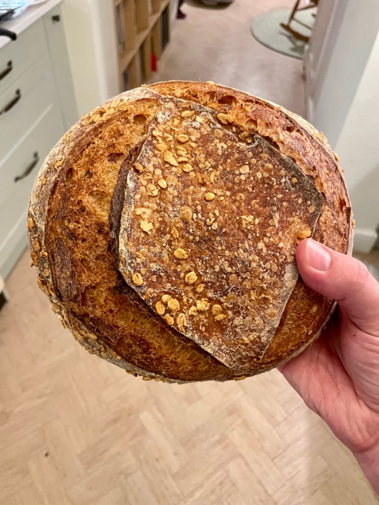 A top-down view of a sourdough boule with oats scattered on top and two score lines around the edge.