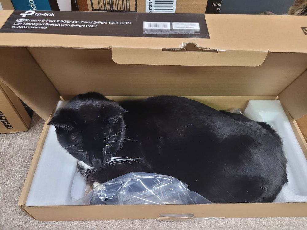 A black cat sits inside the box for a network switch