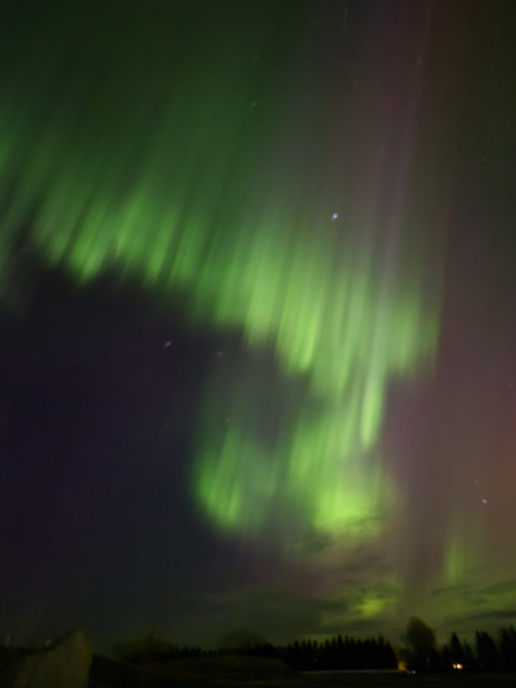 A photo of aurora borealis. Bright green streaks across the sky, down past the horizon lined with the dark silhouettes of trees