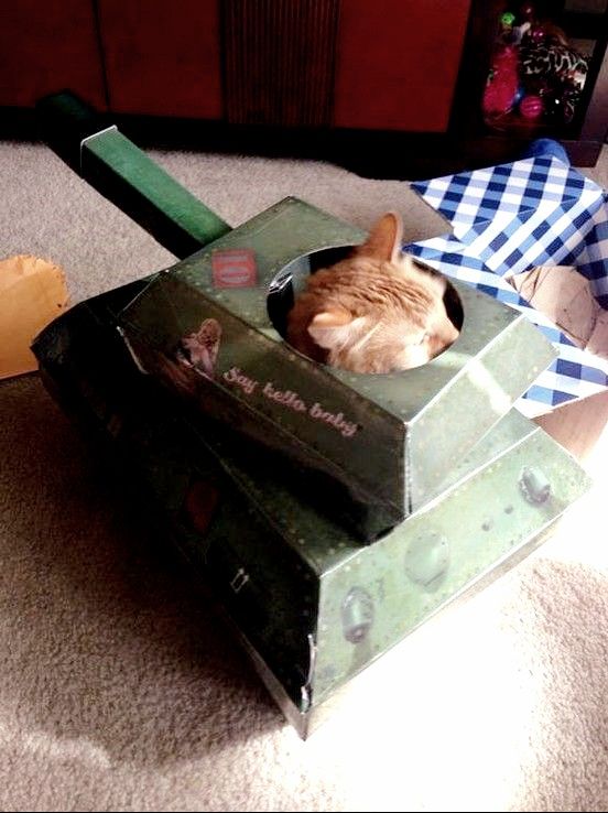 Orange cat in green cardboard box shaped like a tank.