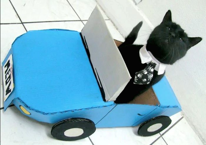 Black cat wearing a tie sitting in a blue car made of a cardboard box.