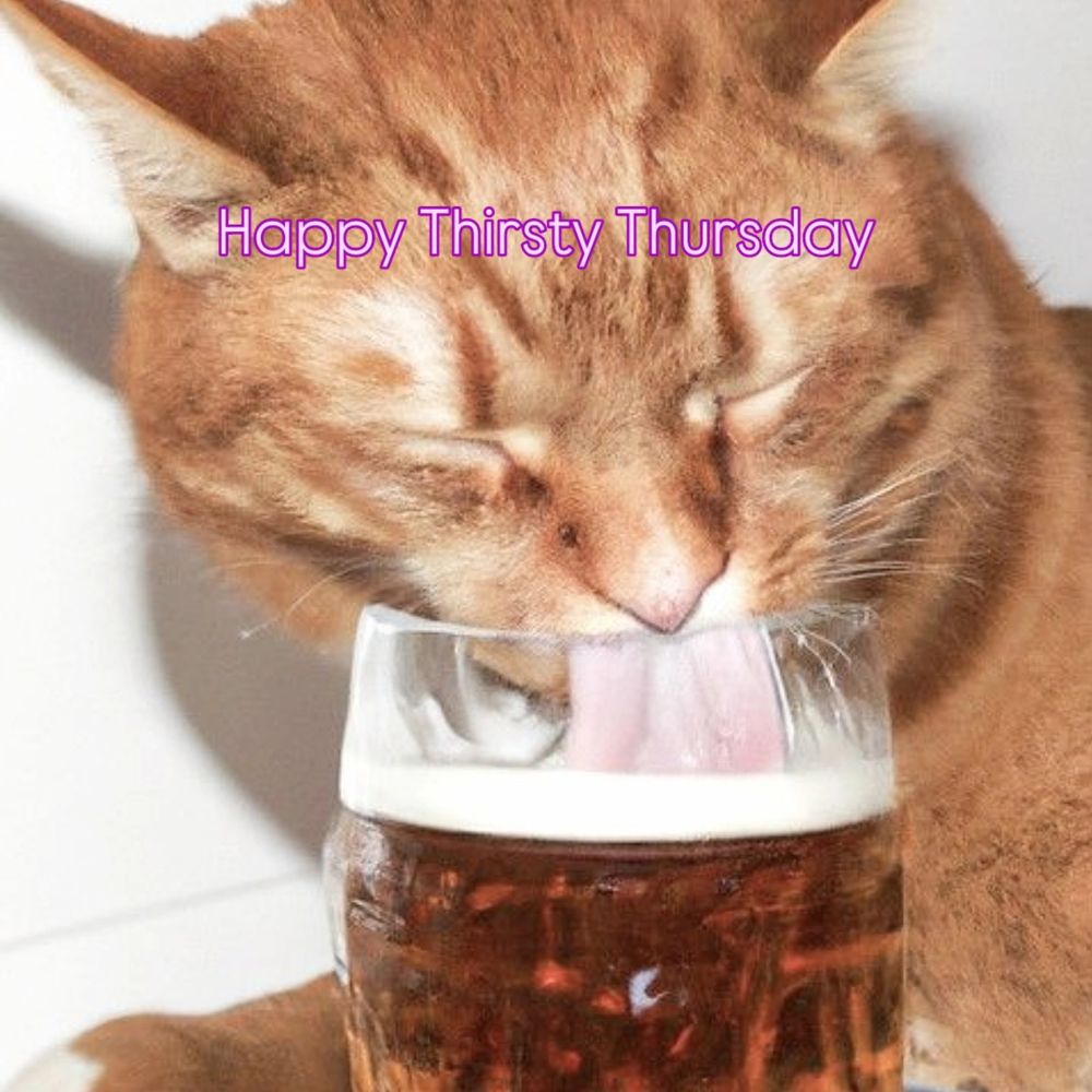 Orange cat licking beer from beer mug.