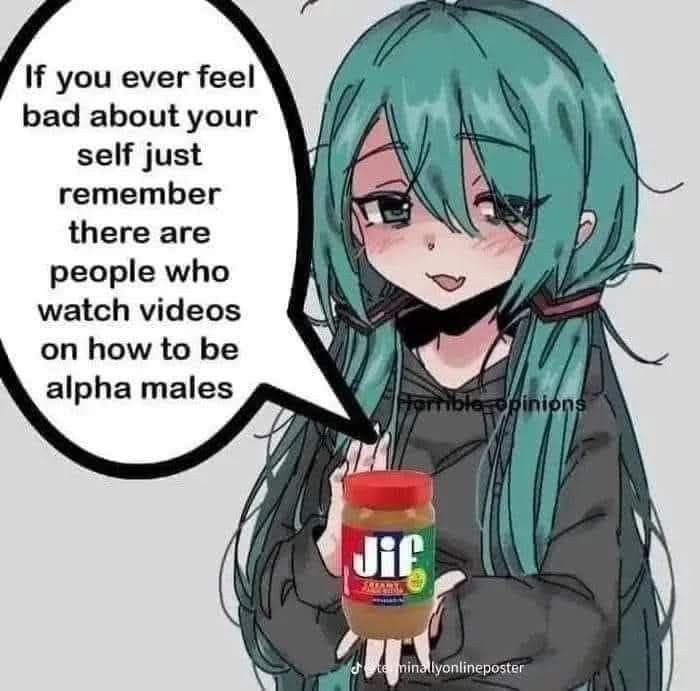 Meme om att den som känner sig värdelös åtminstone kan komma ihåg att det finns människor som kollar på videor om att bli "alfa"