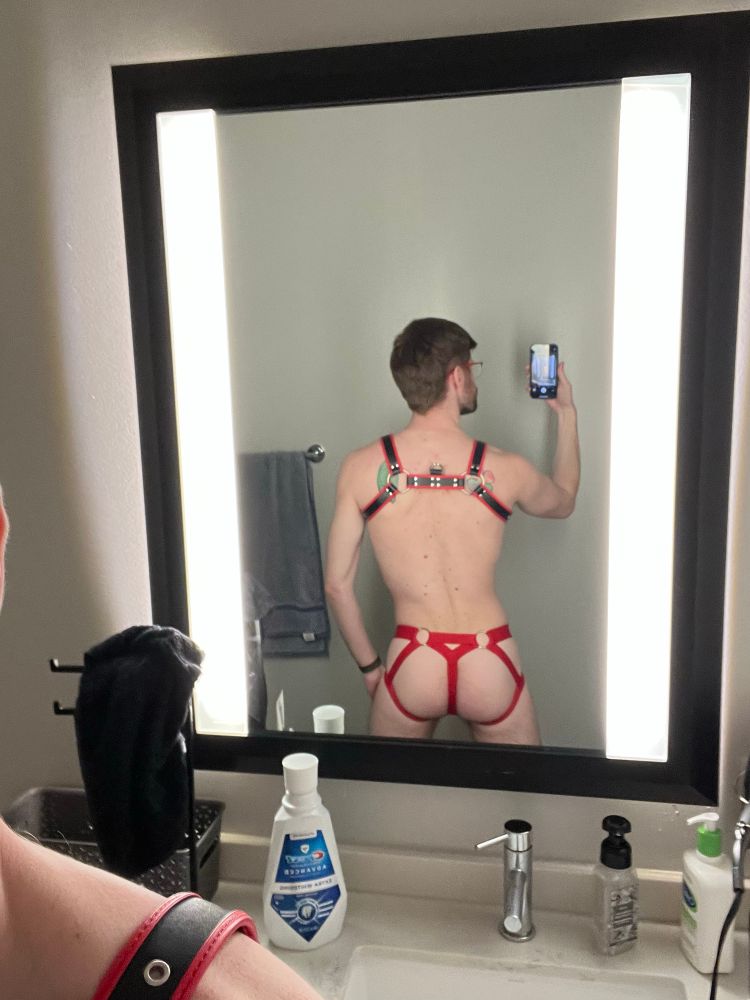 Jock and harness from behind