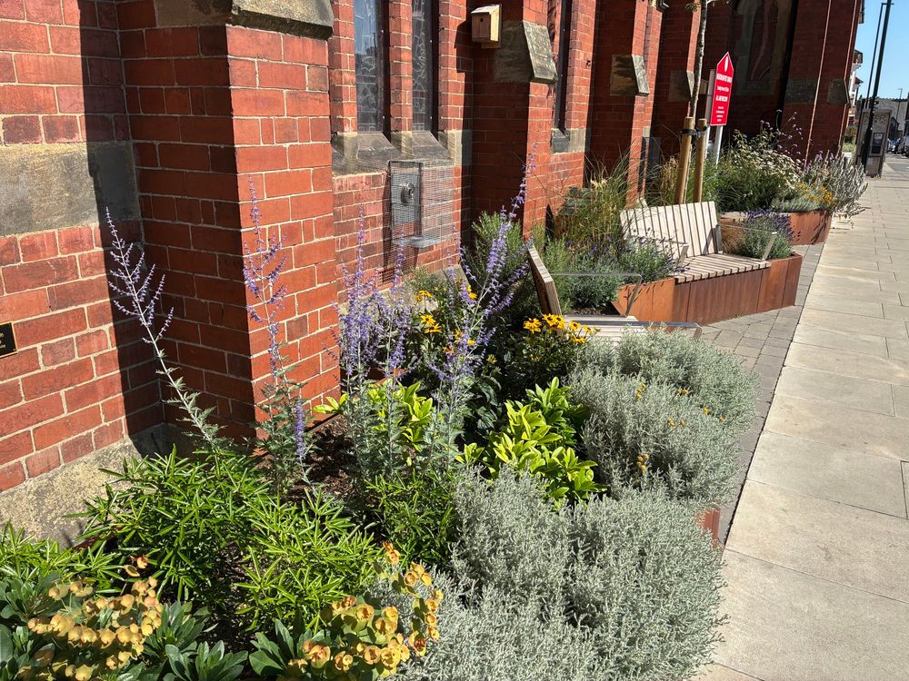 Side view of plenty of colourful flowers 