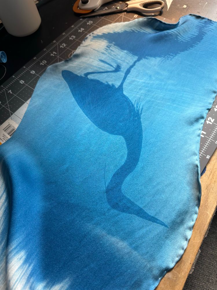 Cyanotype print on silk of a great blue heron
