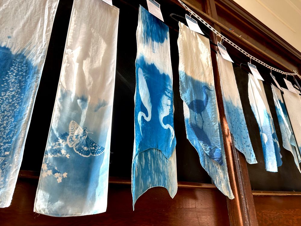 Closeup of silk scarves cyanotype-printed with snow geese, a little blue butterfly, a great egret and fish, a heron and fish, and bank swallows flocking