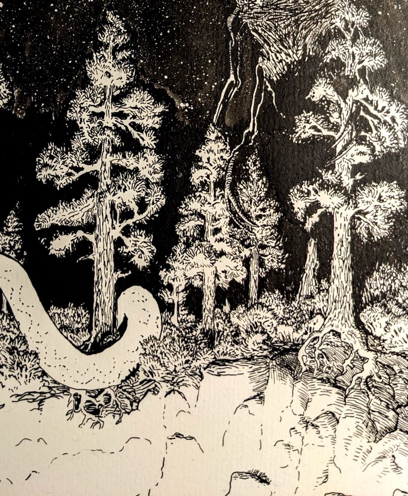 Closeup of a work-in-progress ink drawing of a pine forest at night, lit from below by an unseen source. The shapes of large creatures can be seen among the trees. 