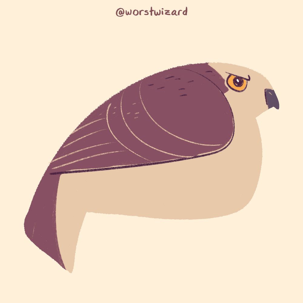 a picture of a brown and tan hawk, frowning intensely
