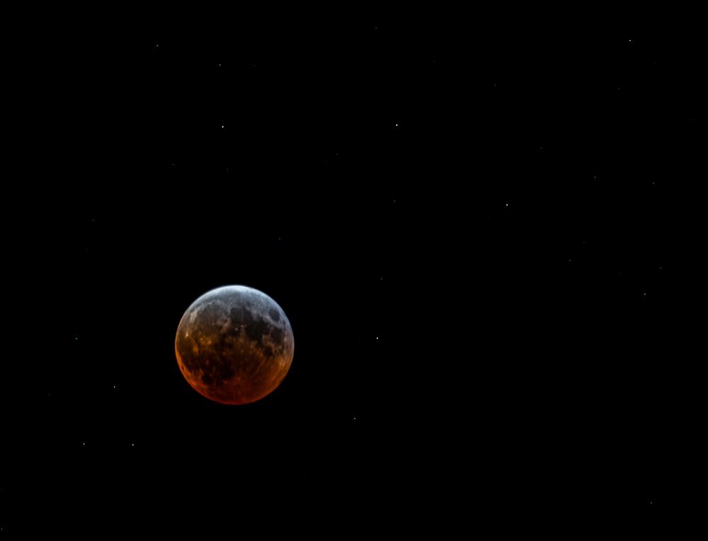Photo of the blood moon during the lunar eclipse.  