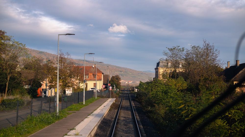 Piémonts des Vosges dans le soleil matinal