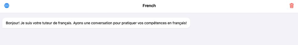The French tutor invites me to start a conversation and practice my French.