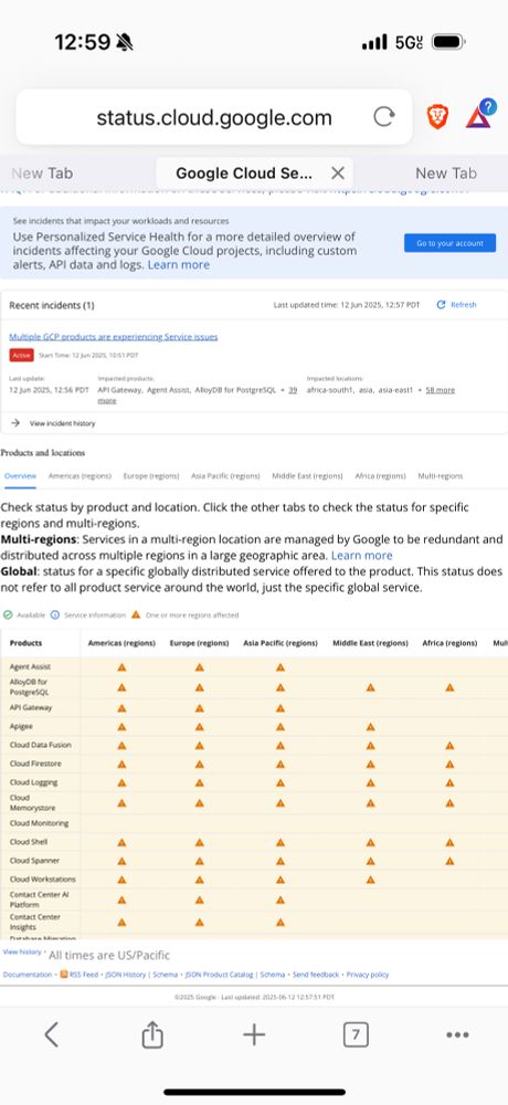 Google’s status page showing the internet equivalent of a shruggie