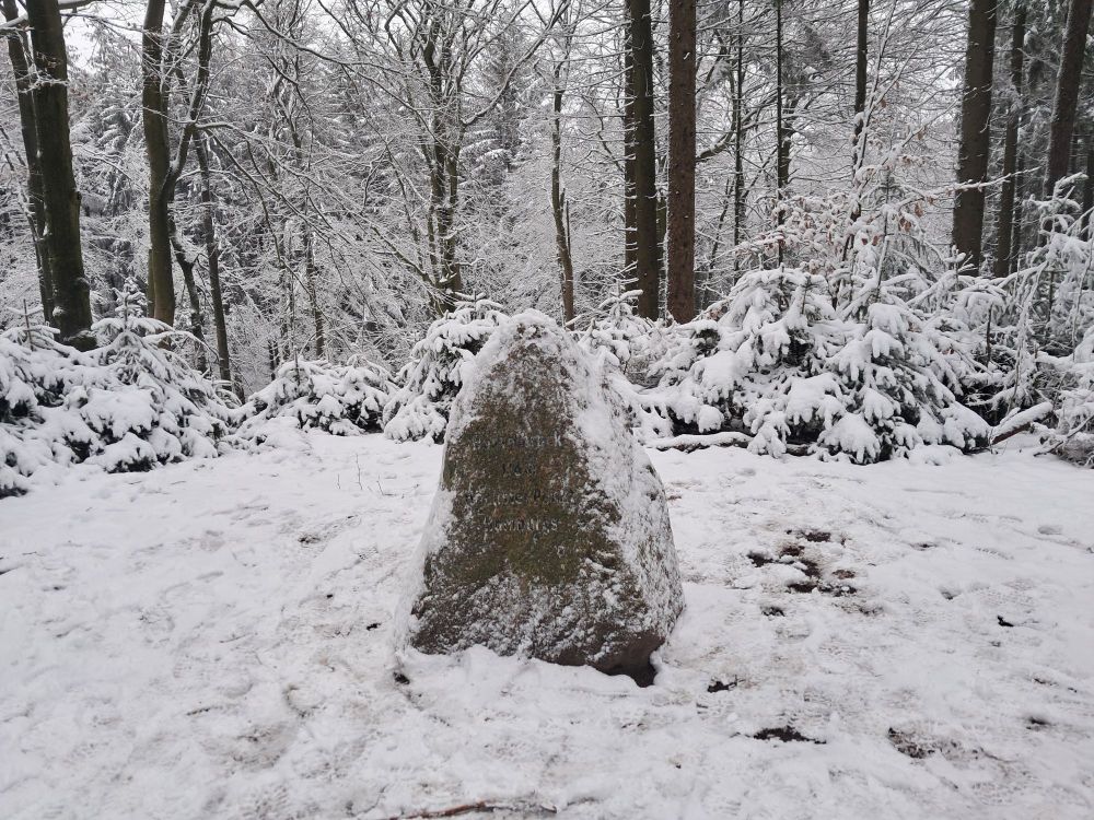 Pyramid shaped rock in snow, snow covered trees in background 