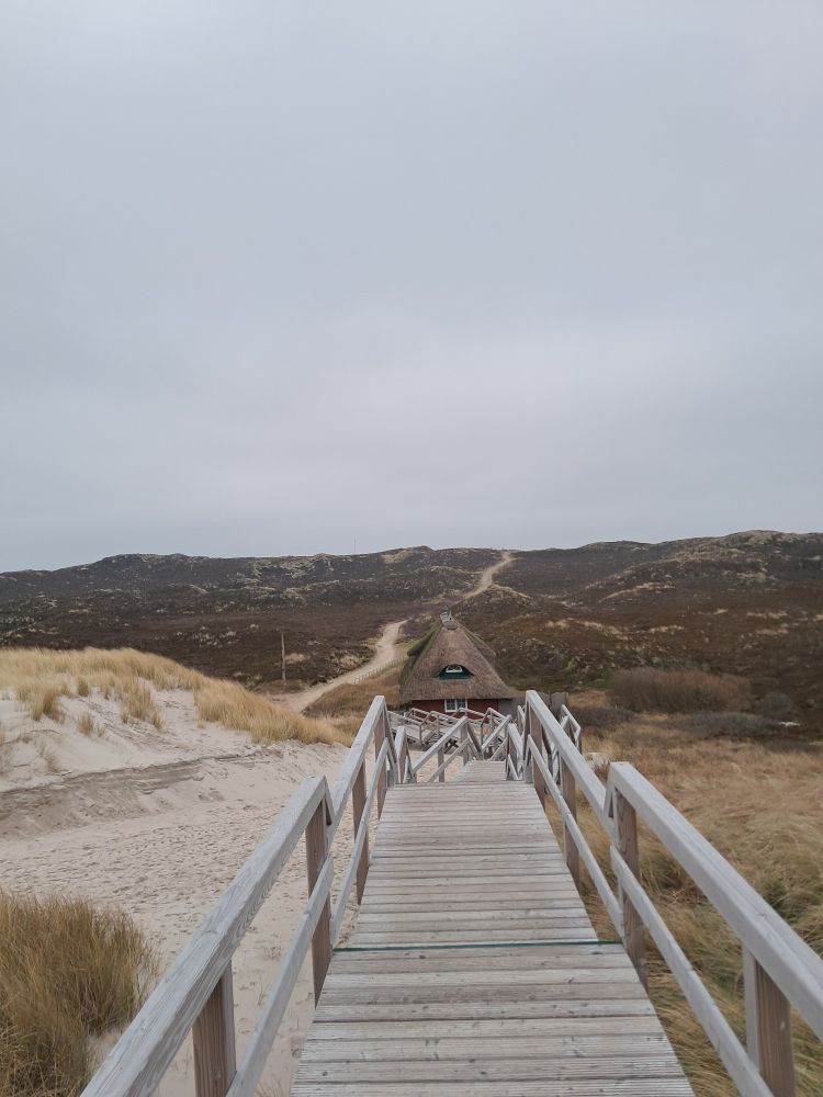 View down wooden stepped walkway towards thatched house and sand dunes