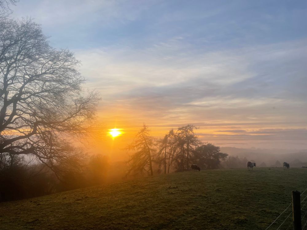 Sunset over a hill with trees to the right and in the distance. Bright orange sun. Grey, orange and yellow sky.