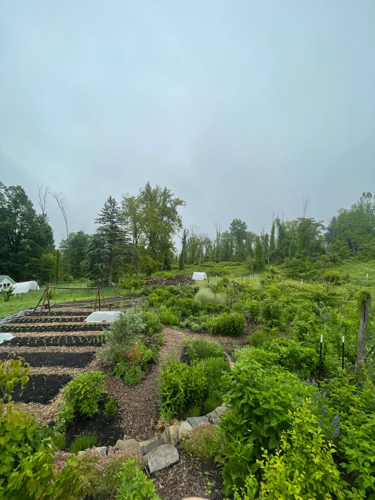 A large garden with perennials and trees in front and to the right and new beds of annuals to the left
