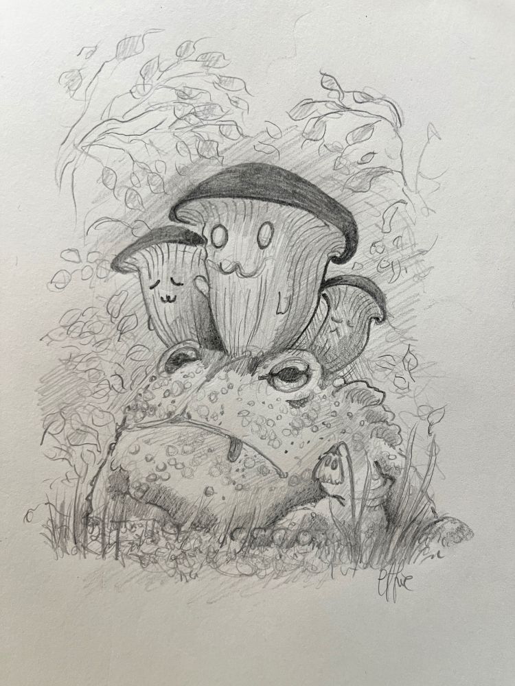 King oysters hanging out on a toad