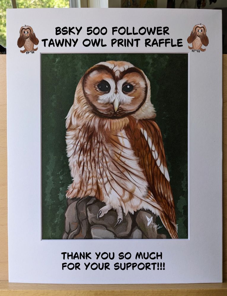a photo of a tawny owl print in matting, with text "BSKY 500 Follower Tawny Owl Print Raffle" & "Thank you so much for your support". Silly little owl doodles are on the side of the text