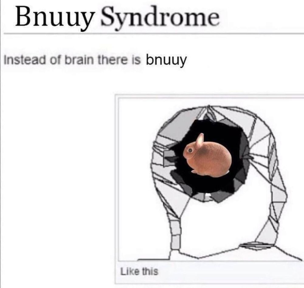 Bnuuy Syndrome: Instead of brain there is bnuuy. 3D scan of a person's head with a cavity in it occupied by a very round and fluffy bunny, captioned "Like this"