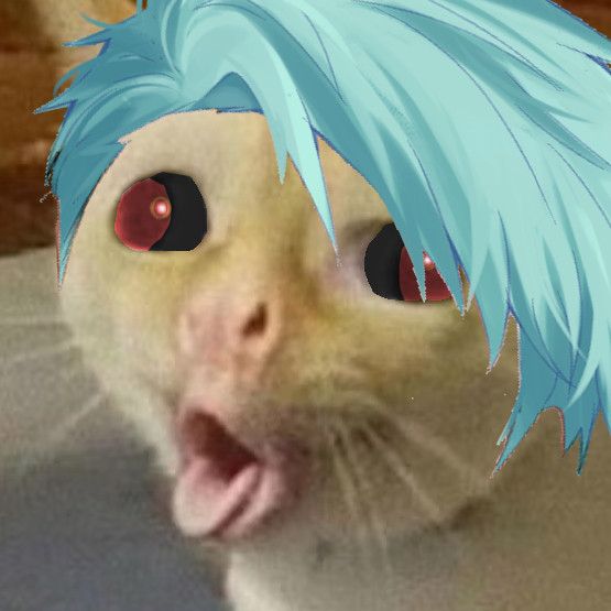 Coughing cat, but as Xinra.