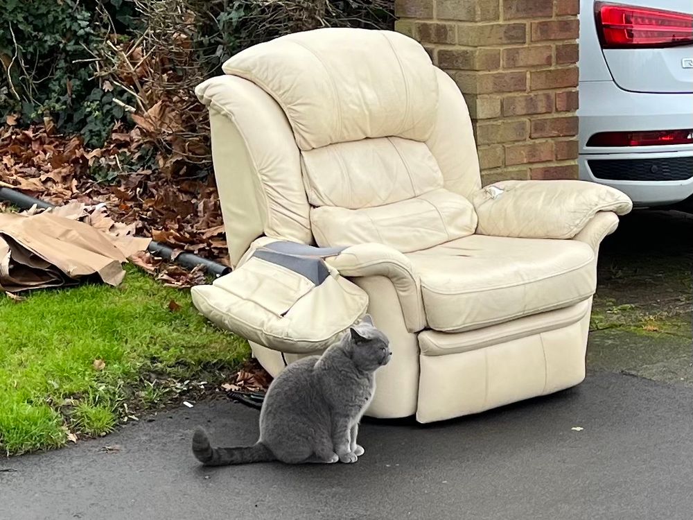 A dumped pale leather chair in the open air with a grey cat sitting next to it. 