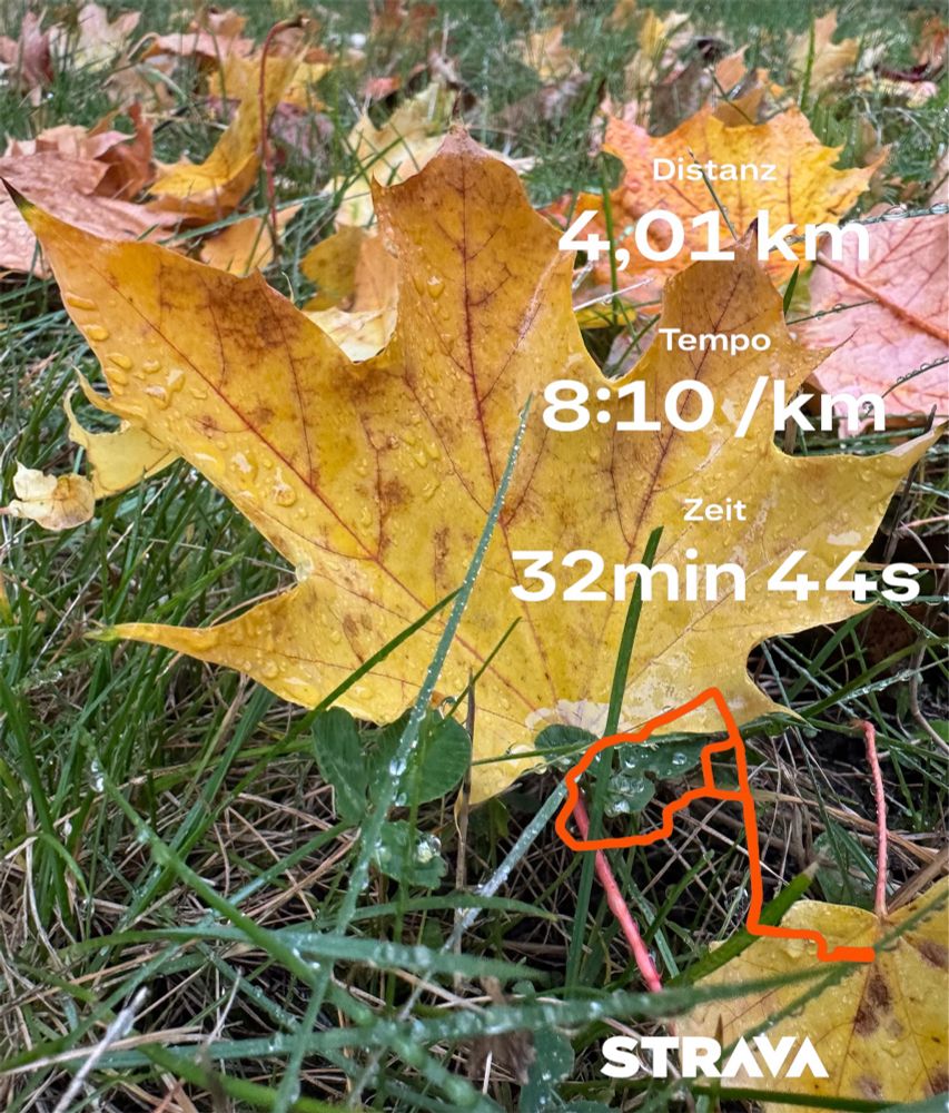 Gelbes Herbstblatt auf Rasen mit Laufdaten von Strava auf der rechten Seite 