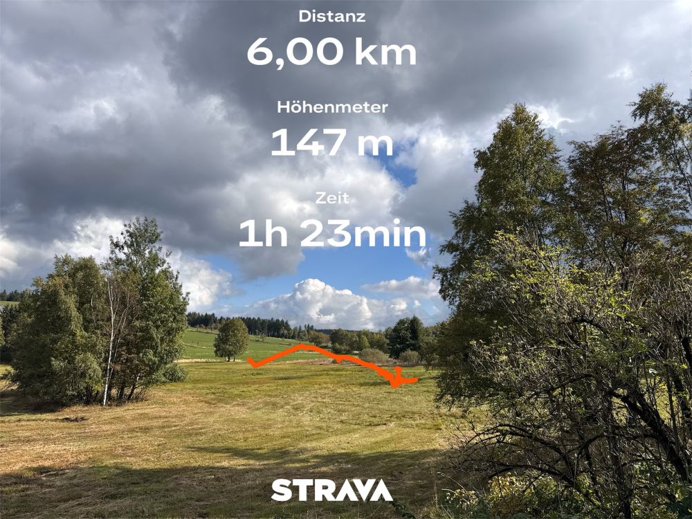 Blick über die Hügel von Schellerhau im Erzgebirge (Wiese, Bäume, blauer Himmel und Wolken) mit mittig platzierten Daten von Strava 