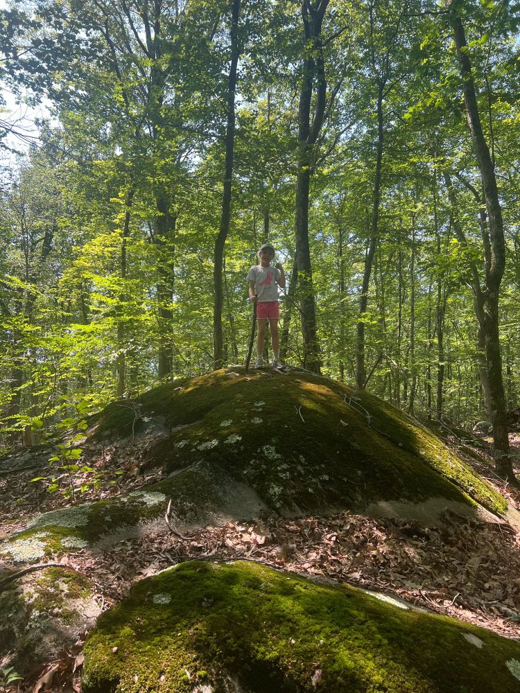 My child standing atop a mossy rock, wearing a white tee and pink shorts, holding her walking stick.