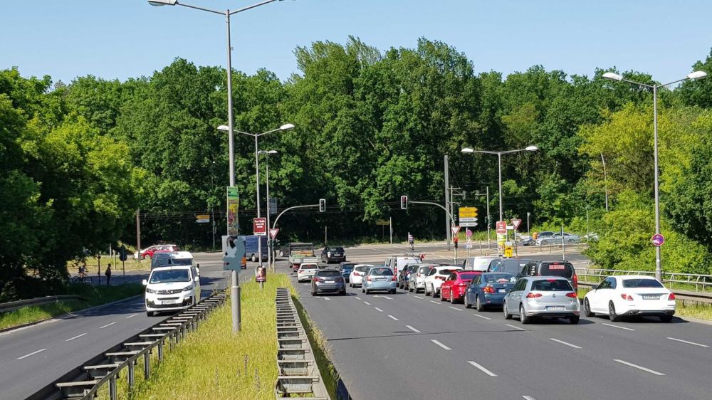 Bau vernichtet mehr Wald als geplant: Naturschutzverband lehnt geplante Berliner Schnellstraße TVO ab