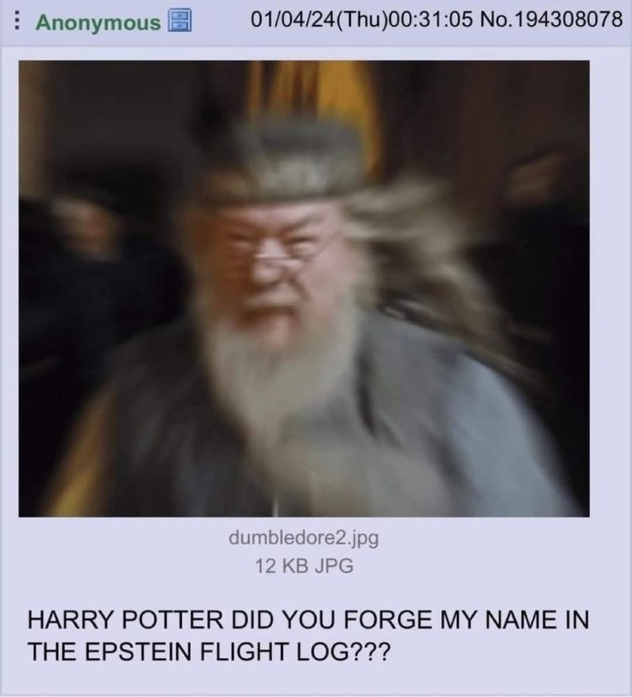 HARRY POTTER DID YOU FORGE MY NAME IN THE EPSTEIN FLIGHT LOG?