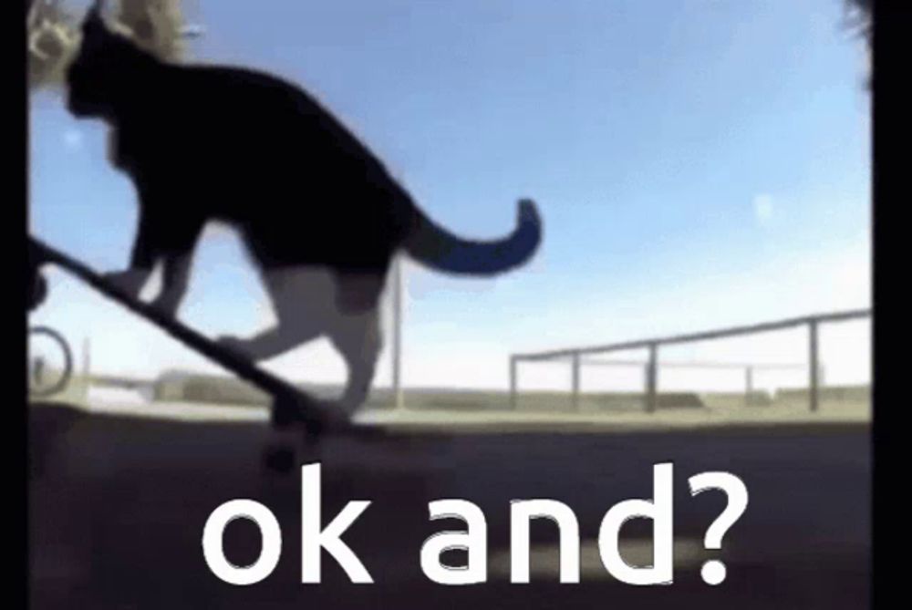 a cat is riding a skateboard with the words ok and below it .