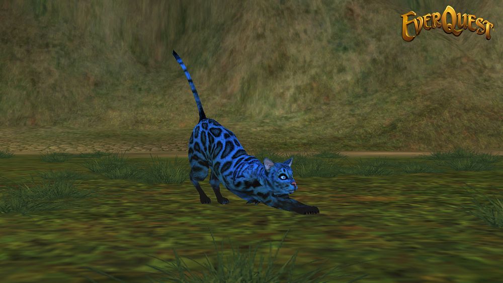 With leopard-like patterning, this house-cat sized feline is stretching, back low, tail high, and a brilliant indigo blue to match the Extra Life official colors.